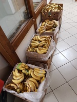 Bananen im Angebot